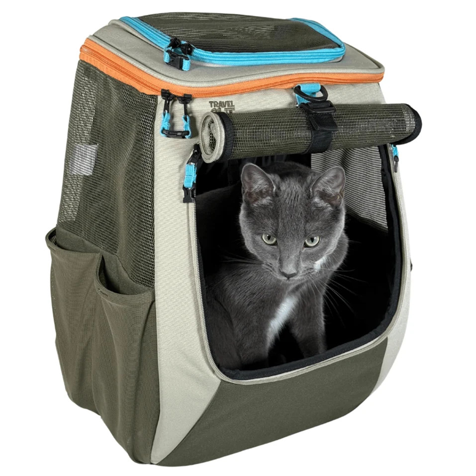 The Navigator Convertible Cat Backpack for Adventurous Cats and Humans