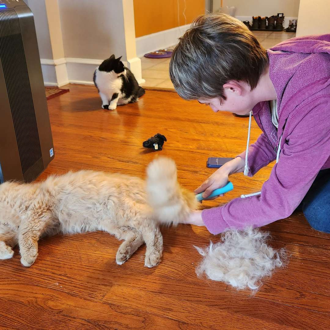 The Ultimate Uproot Clean Bundle – All Cleaners & Deshedder