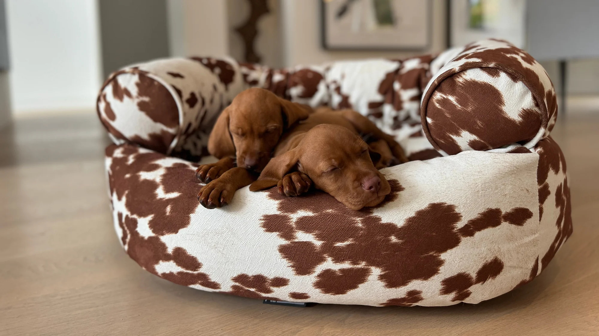 Double Donut