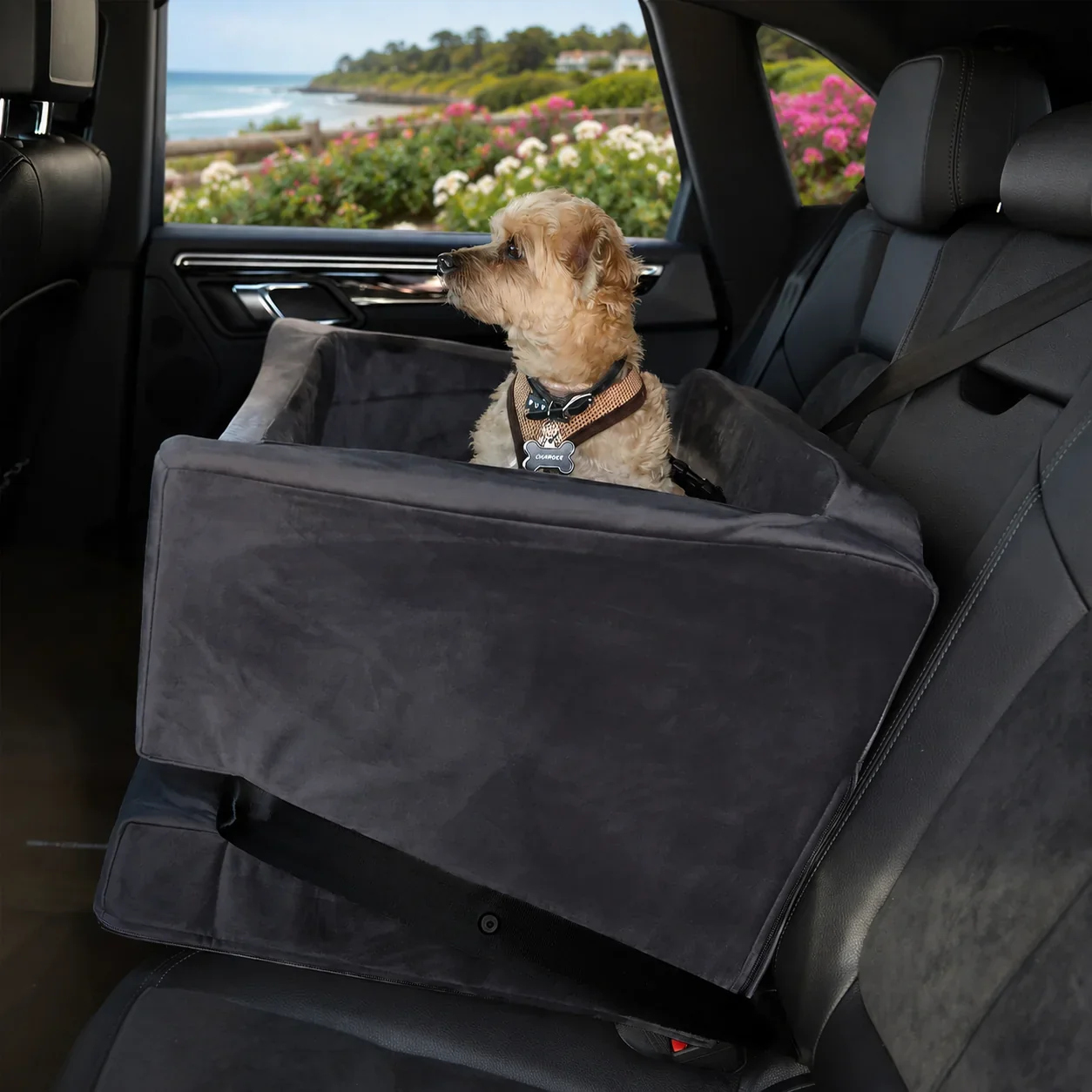 Companion Car Seat®