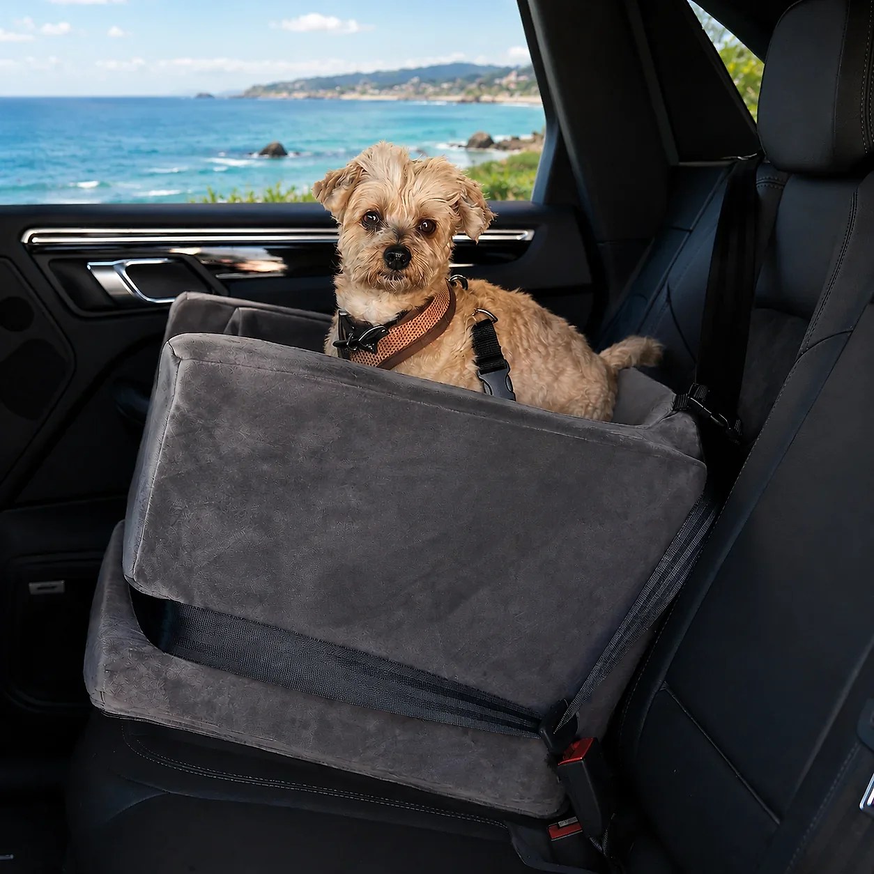 Companion Car Seat®