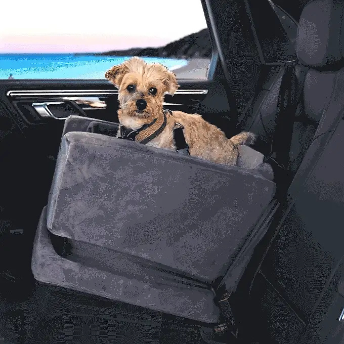 Companion Car Seat®