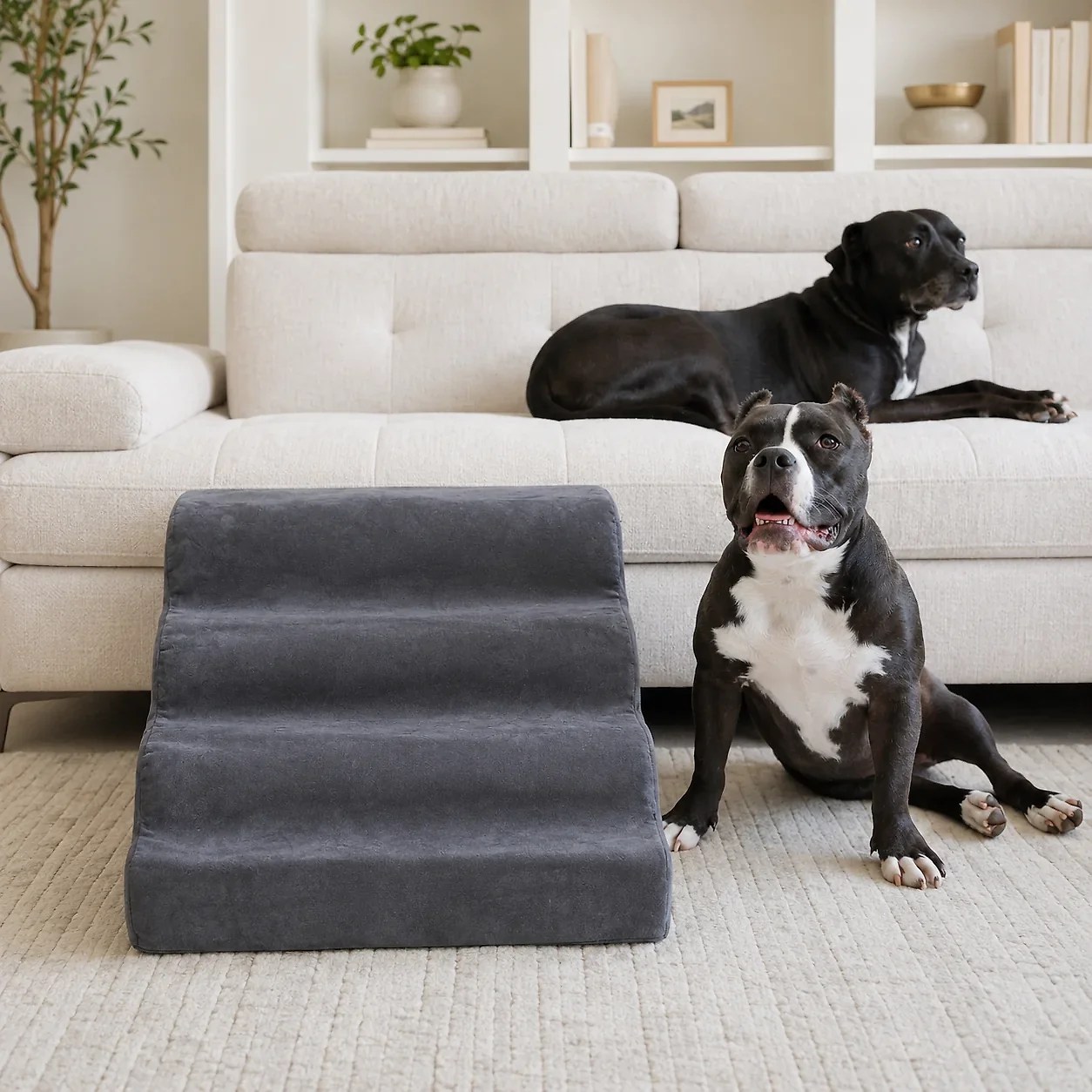 Companion Ramp® Small Dog Ramp