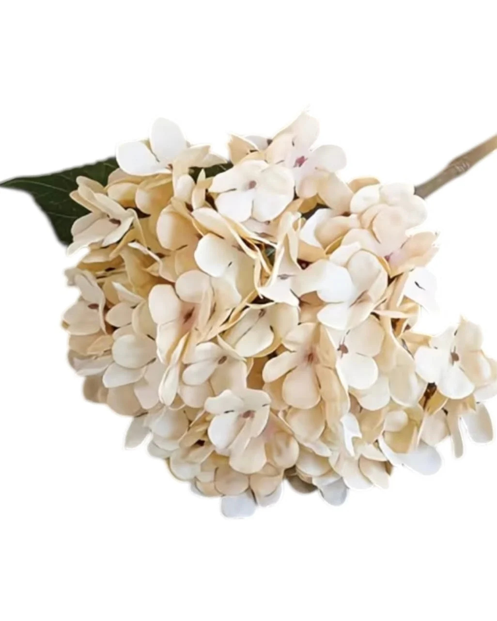 Artificial Short Soft Cream Hydrangea Stem Faux Flower Decor