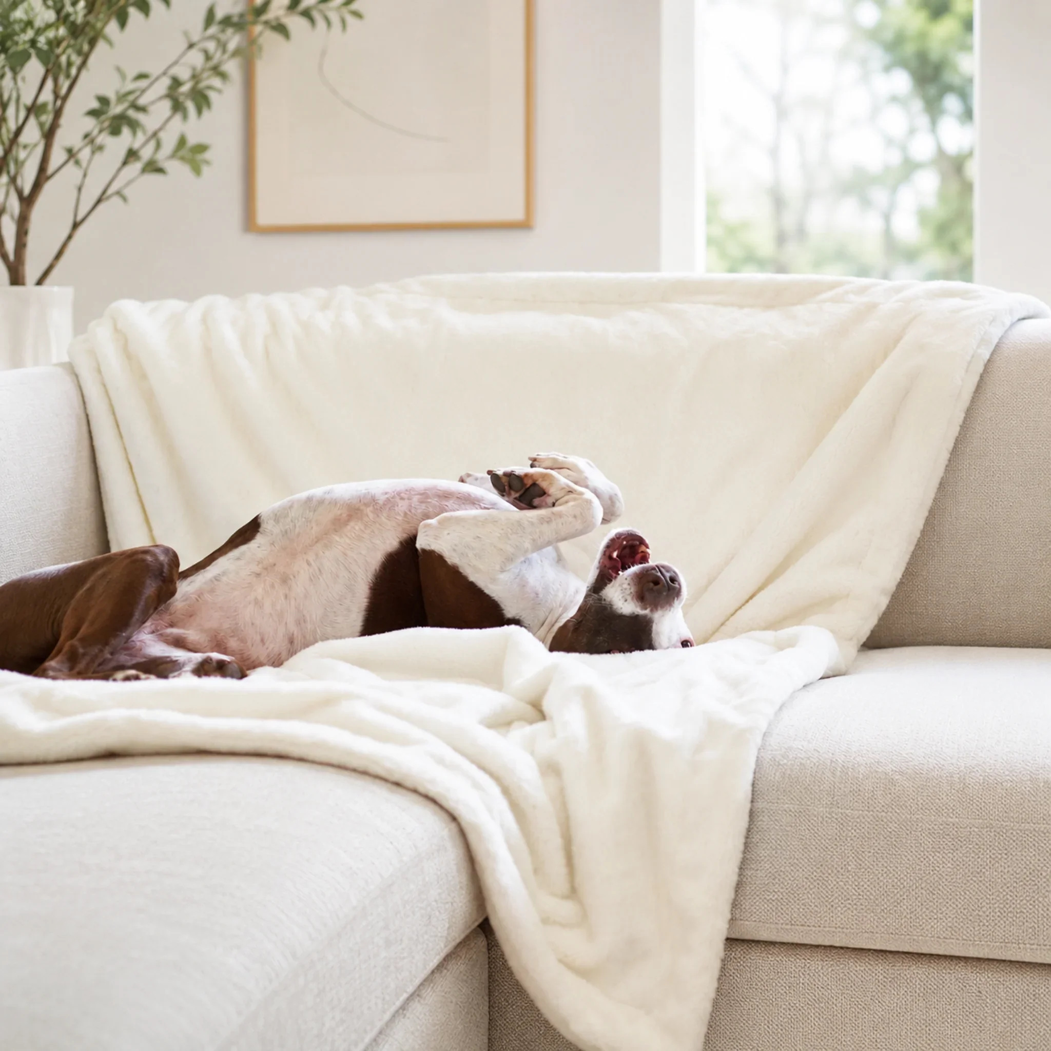 Cozy Raine Waterproof Blanket™