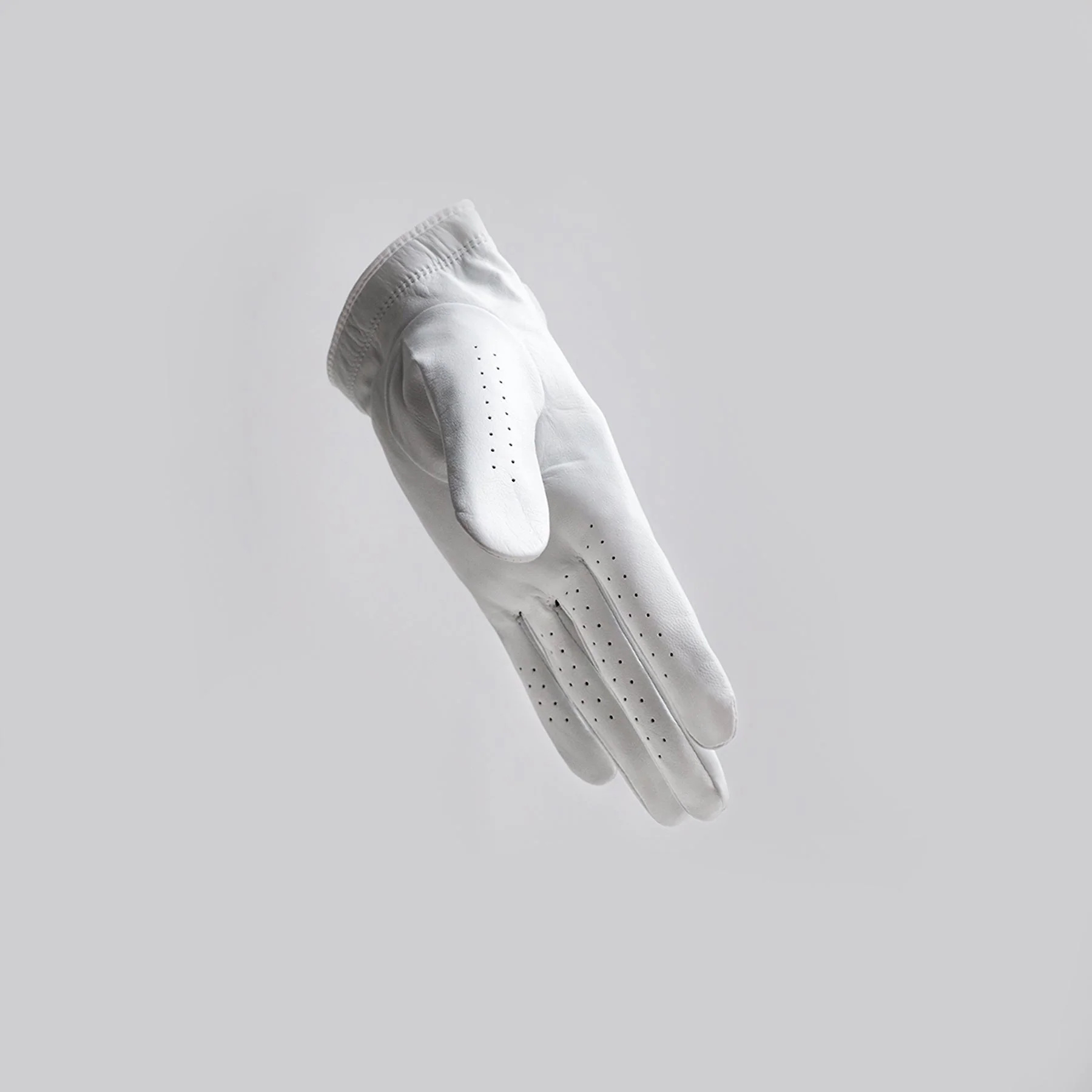 Glove 100