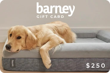 Barney Bed Gift Card