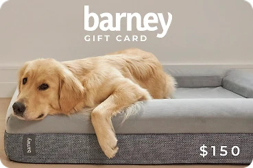Barney Bed Gift Card