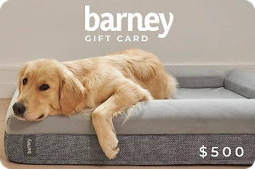 Barney Bed Gift Card