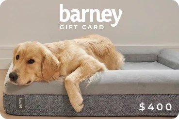 Barney Bed Gift Card