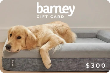 Barney Bed Gift Card