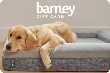 Barney Bed Gift Card