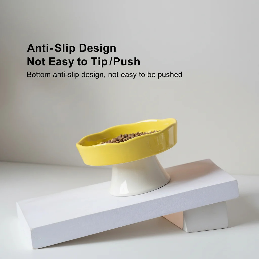 Ceramic Elevated Slow Feeder Bowl