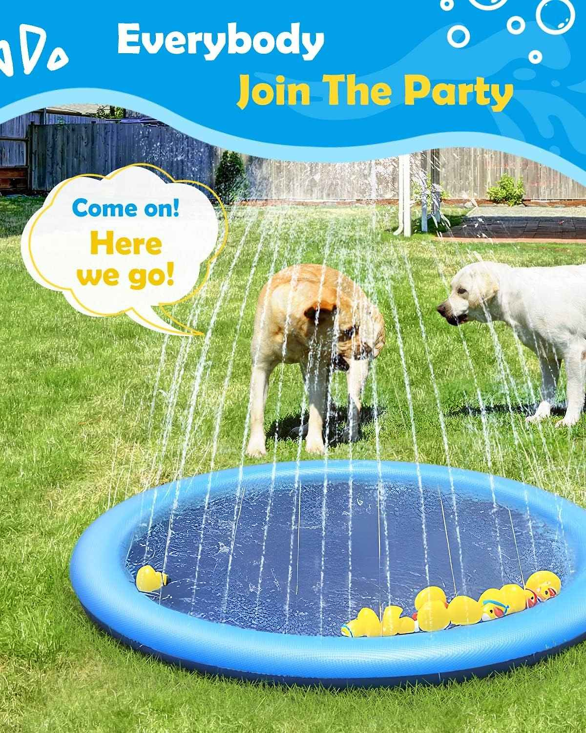 Enjoy Summer Fun with Our Anti-Slip Splash Pad for Pets