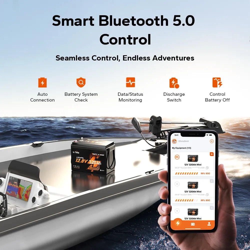 LiTime 12V 320Ah Mini Bluetooth Lithium Battery for RV. Off-Grid. Marine and Truck
