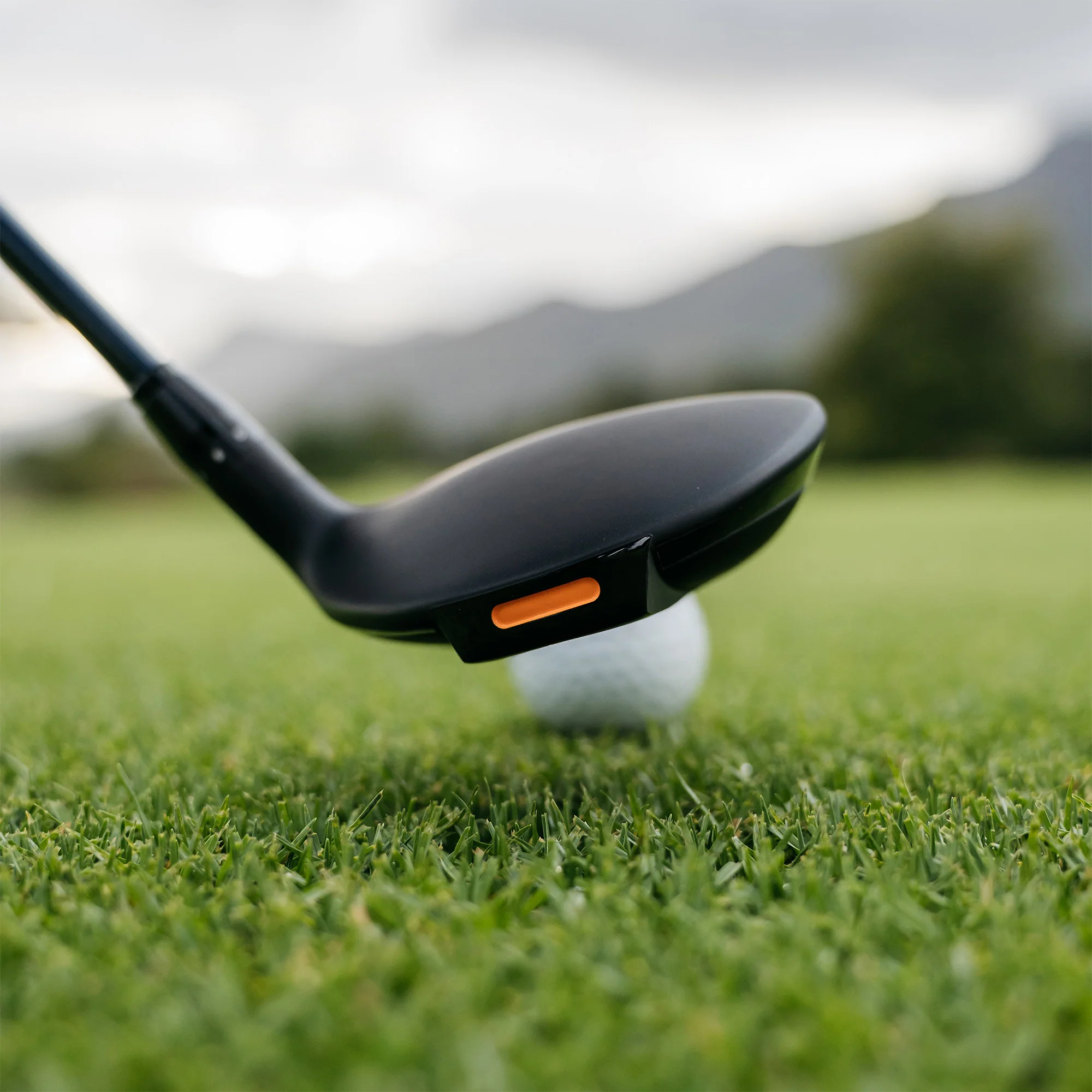 Ignis D2 Fairway Wood