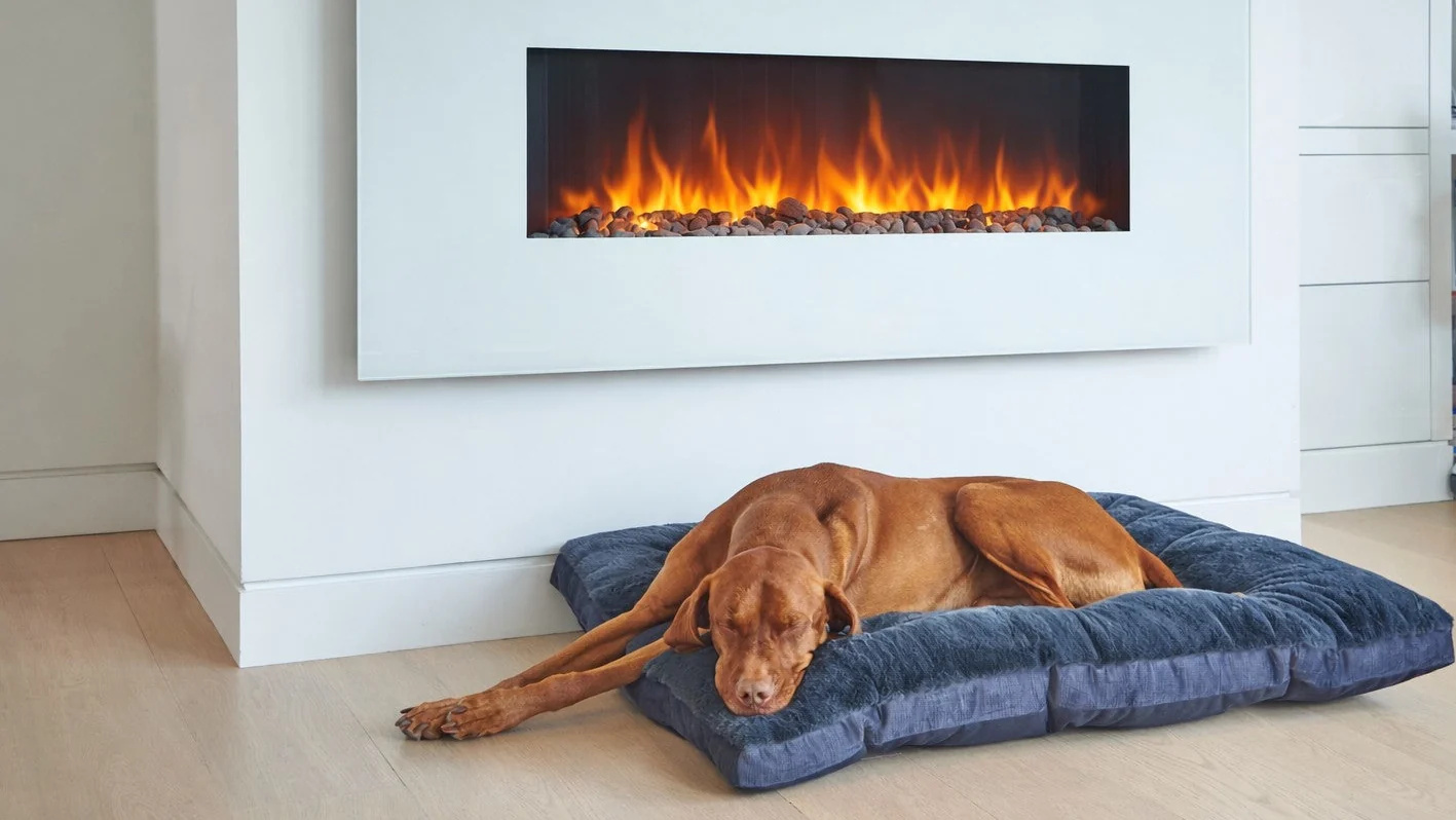 Dream Futon