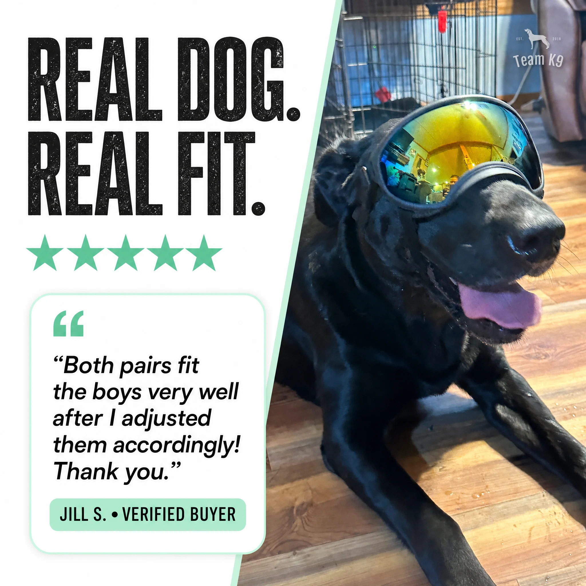 Team K9® Dog Goggles