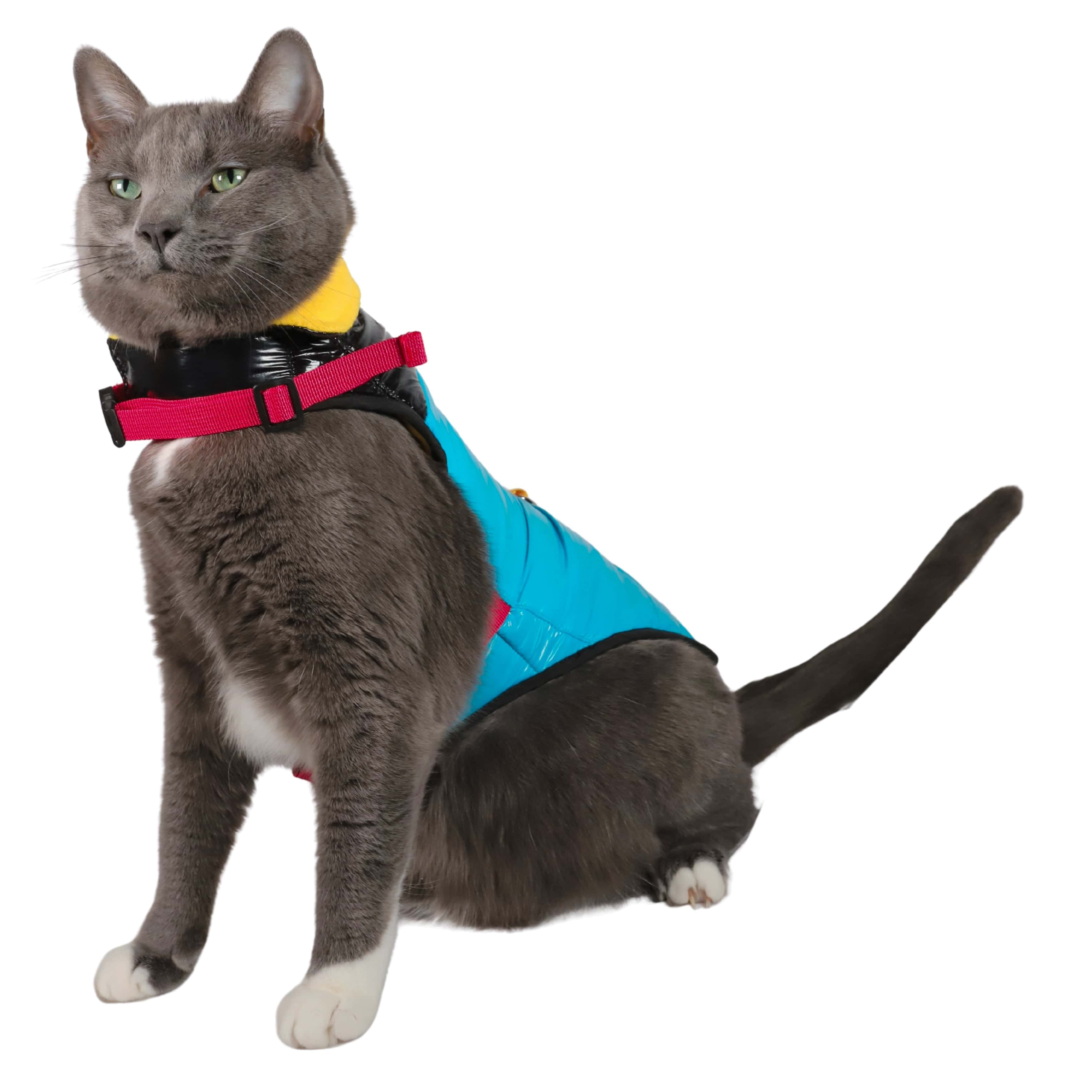 The Catagonia Puffer Jacket Harness