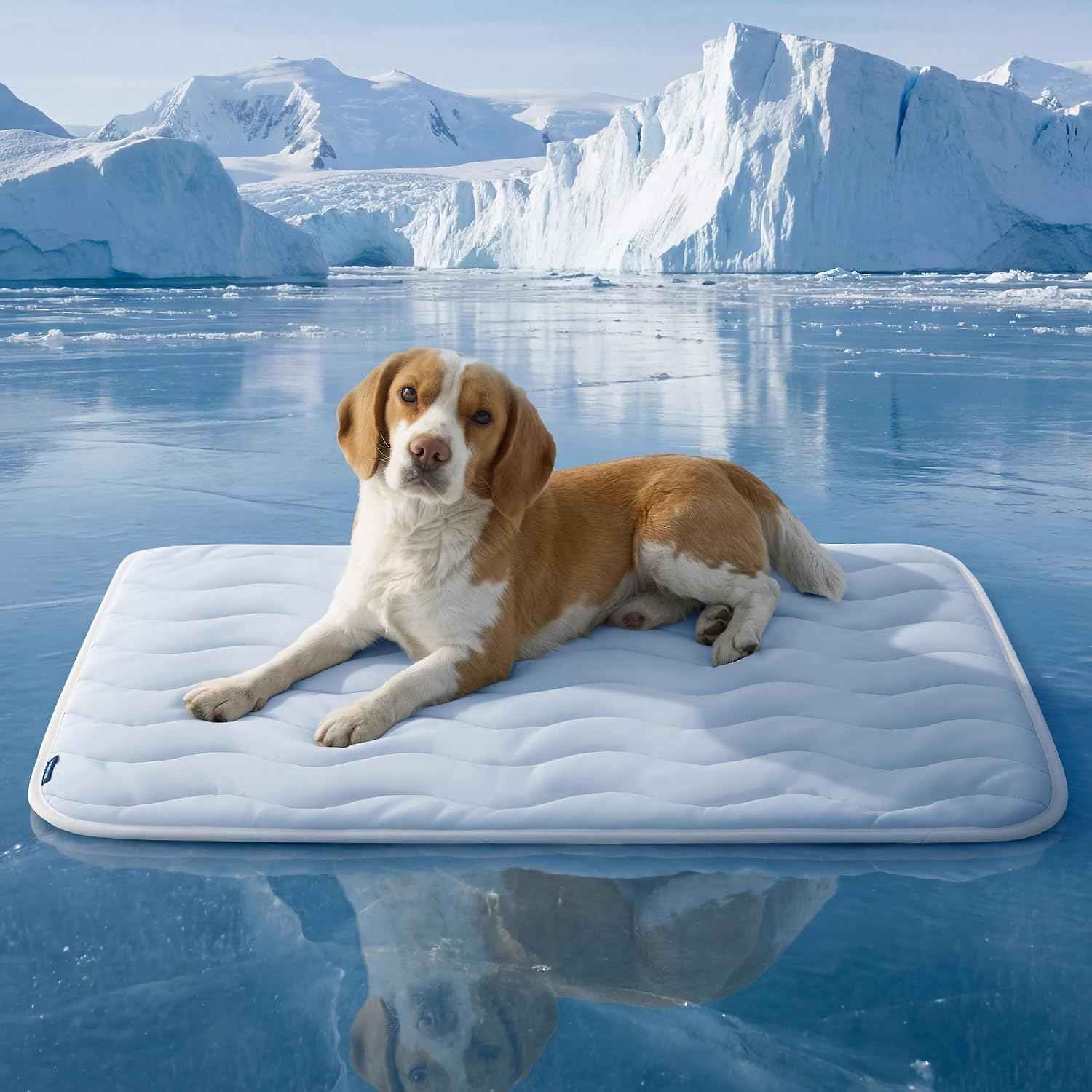 Ice Cooling Mat for Pets - Instant Relief from Summer Heat