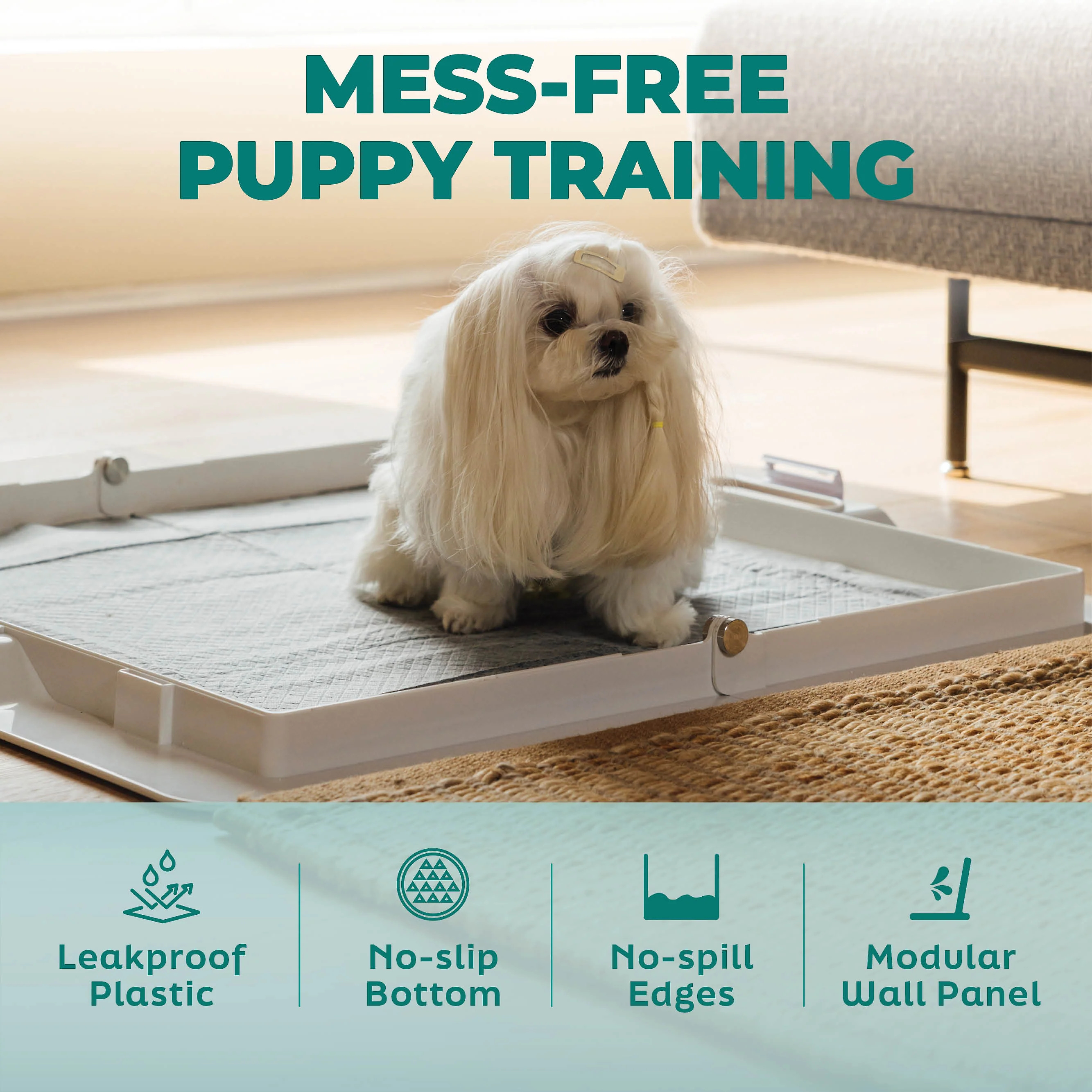 Potty Training Bundle