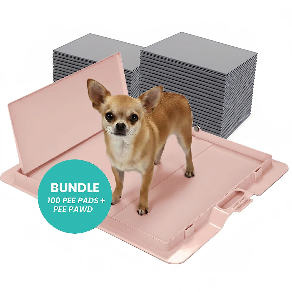 Potty Training Bundle
