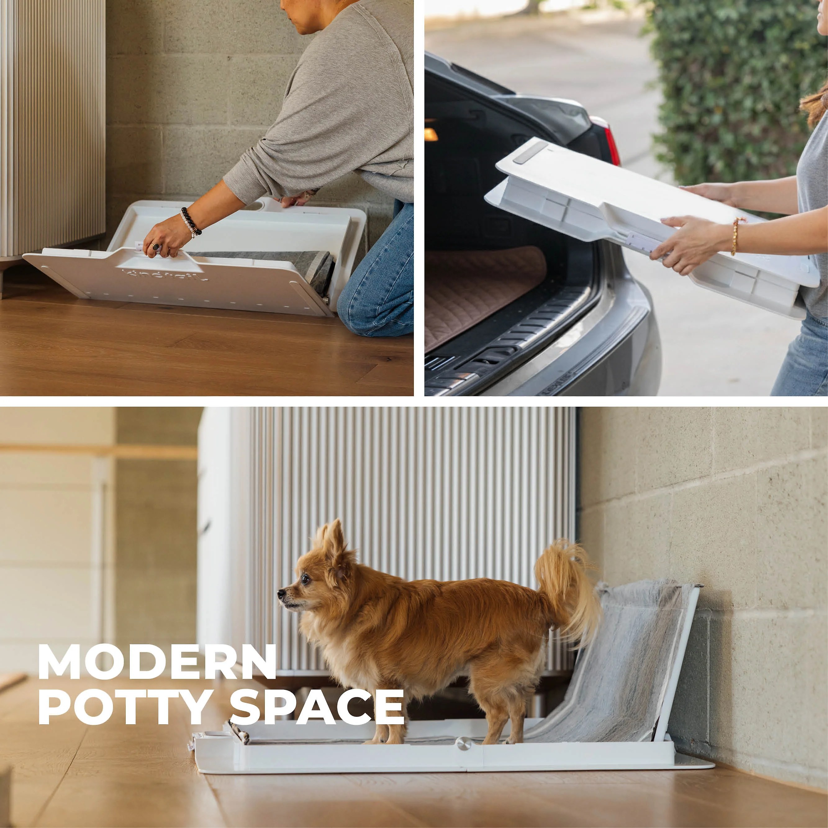 Potty Training Bundle