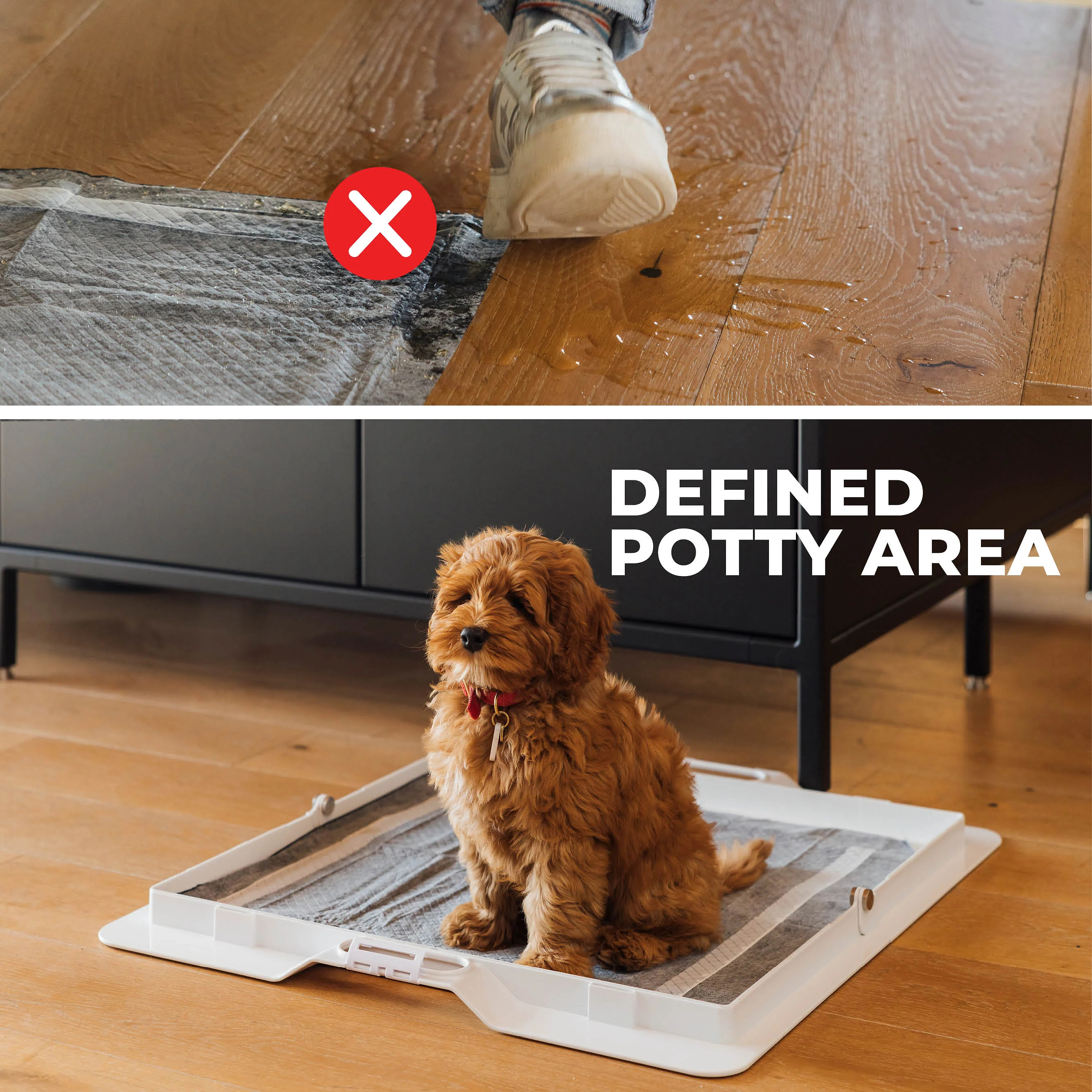 Potty Training Bundle