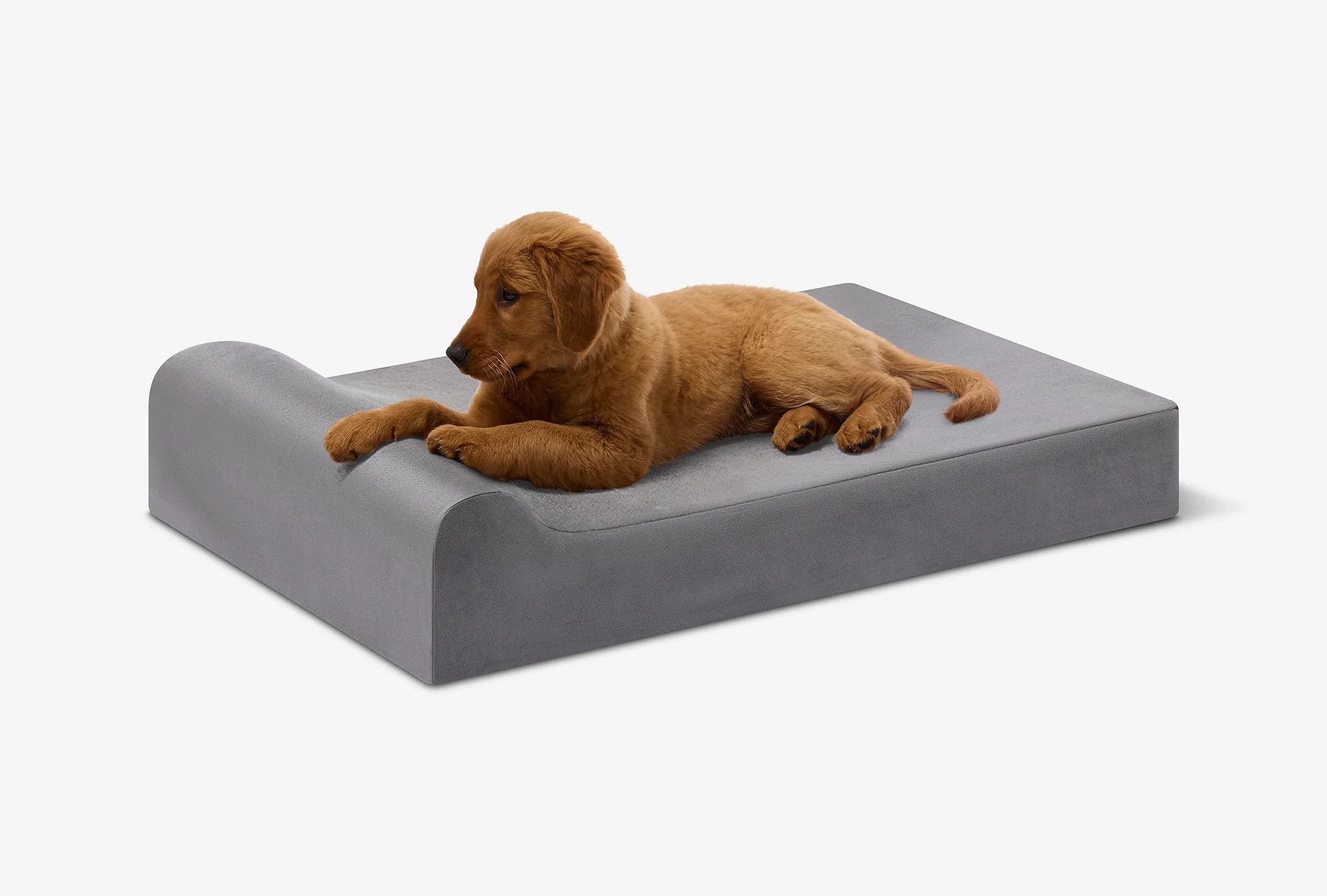 Puppy Bundle | Orthopedic Bed + Covers + Liner
