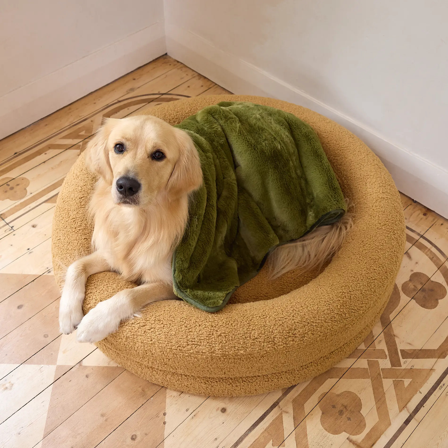 Blanket