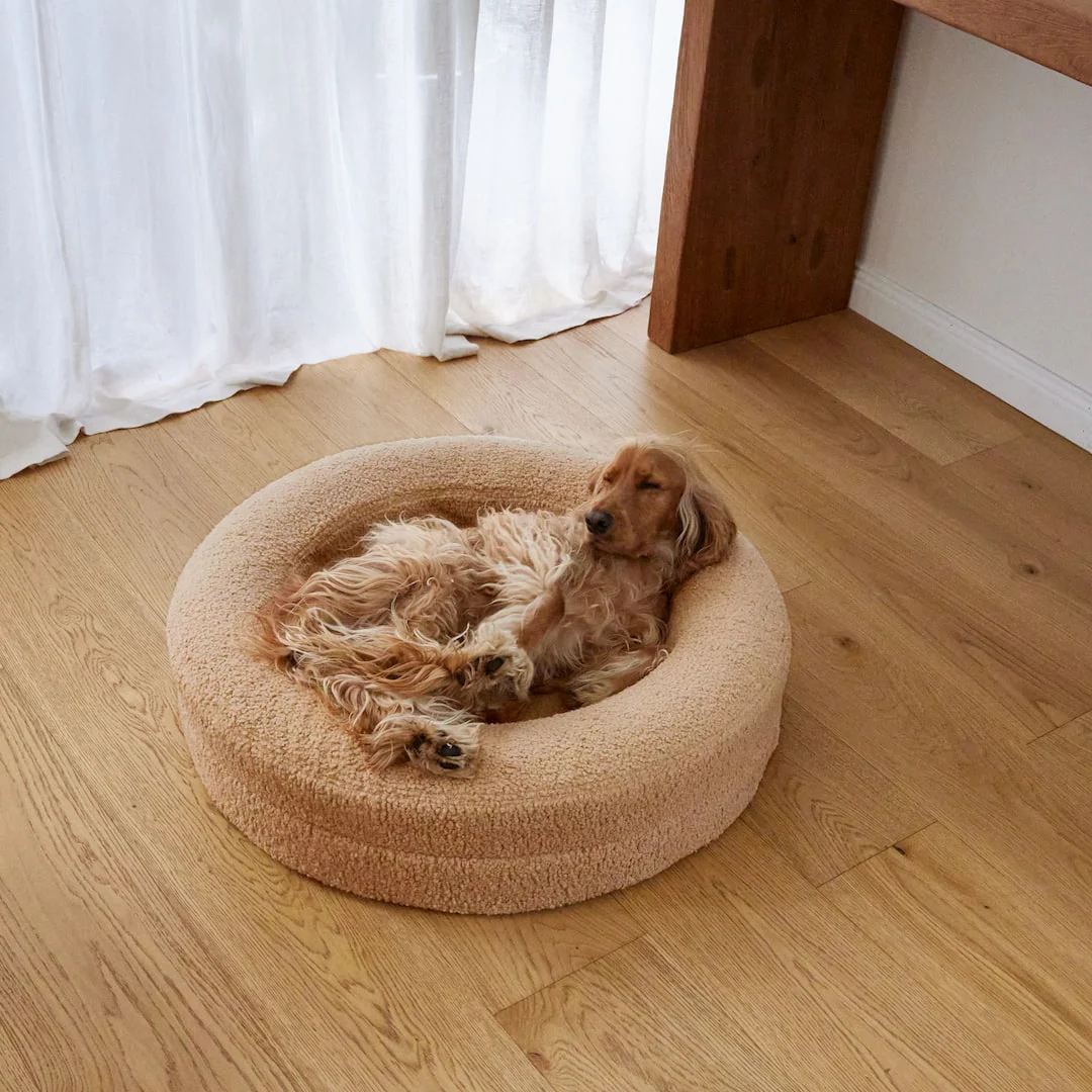 BarneyCurl Bed