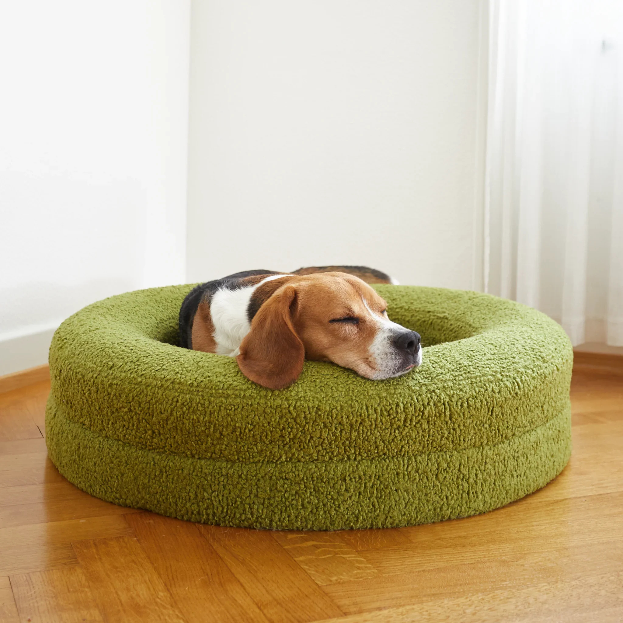 BarneyCurl Bed