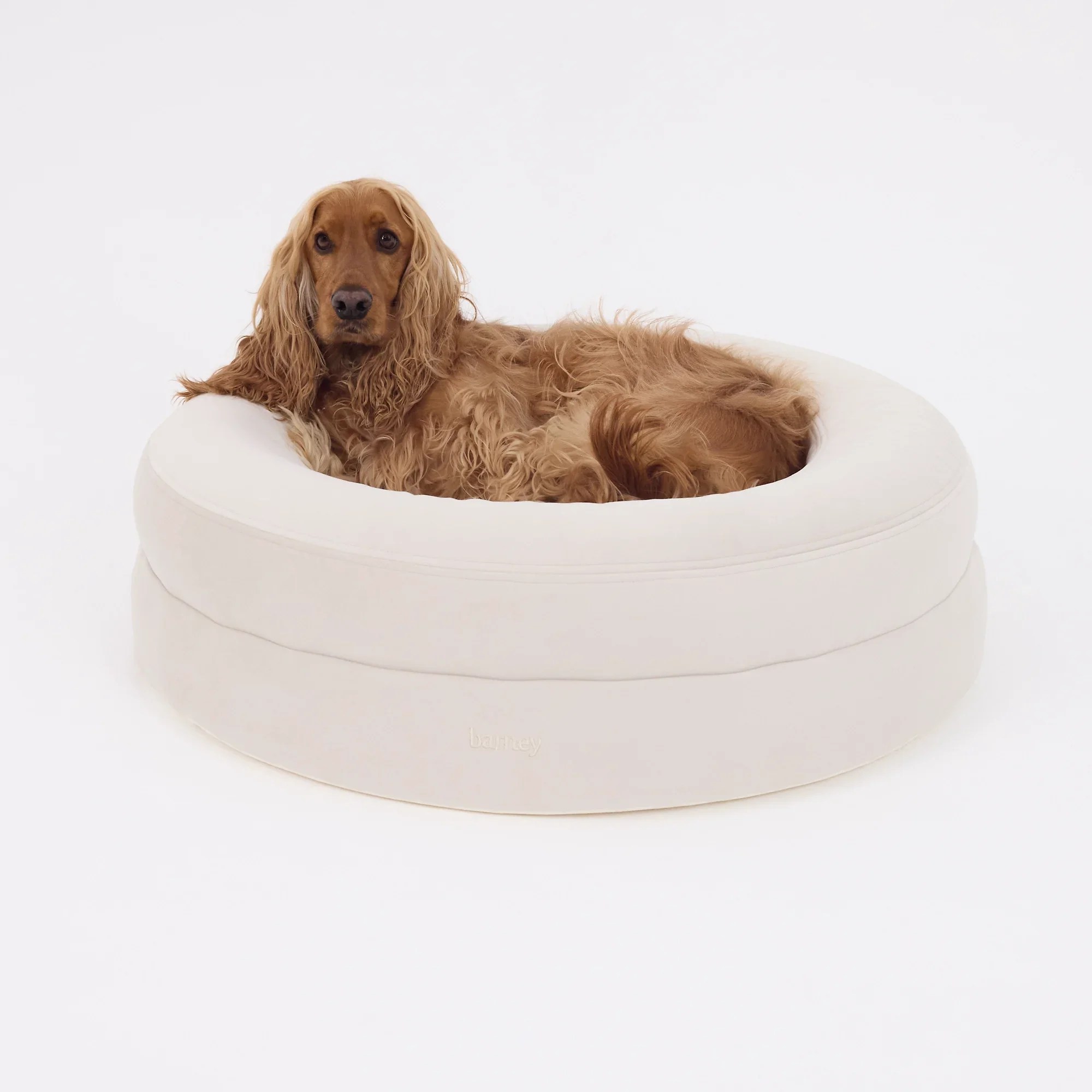 BarneyCurl Bed