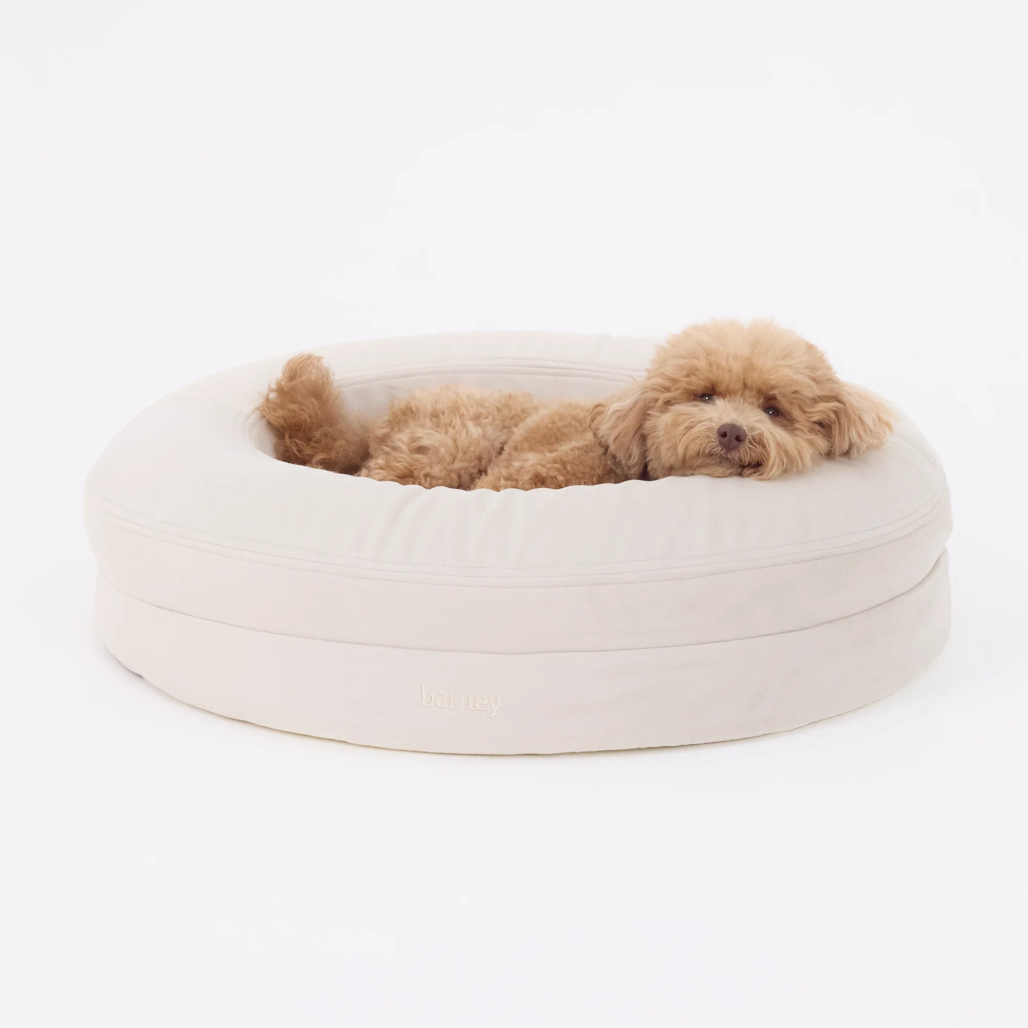 BarneyCurl Bed
