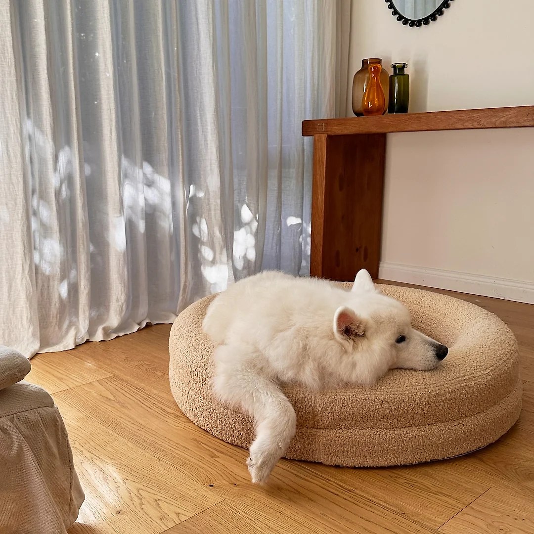 BarneyCurl Bed