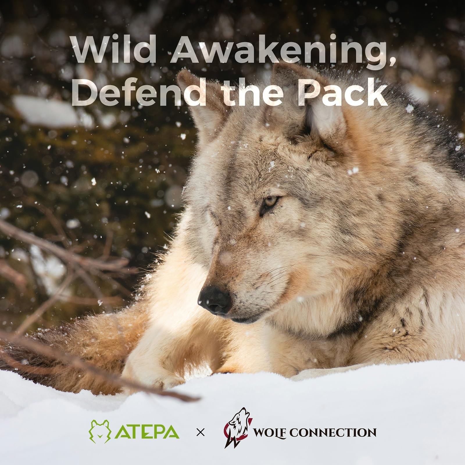 ATEPA 3-in-1 Backpacking Sleeping Bag Down Sleeping Bag 42.8°F to 6.8°F