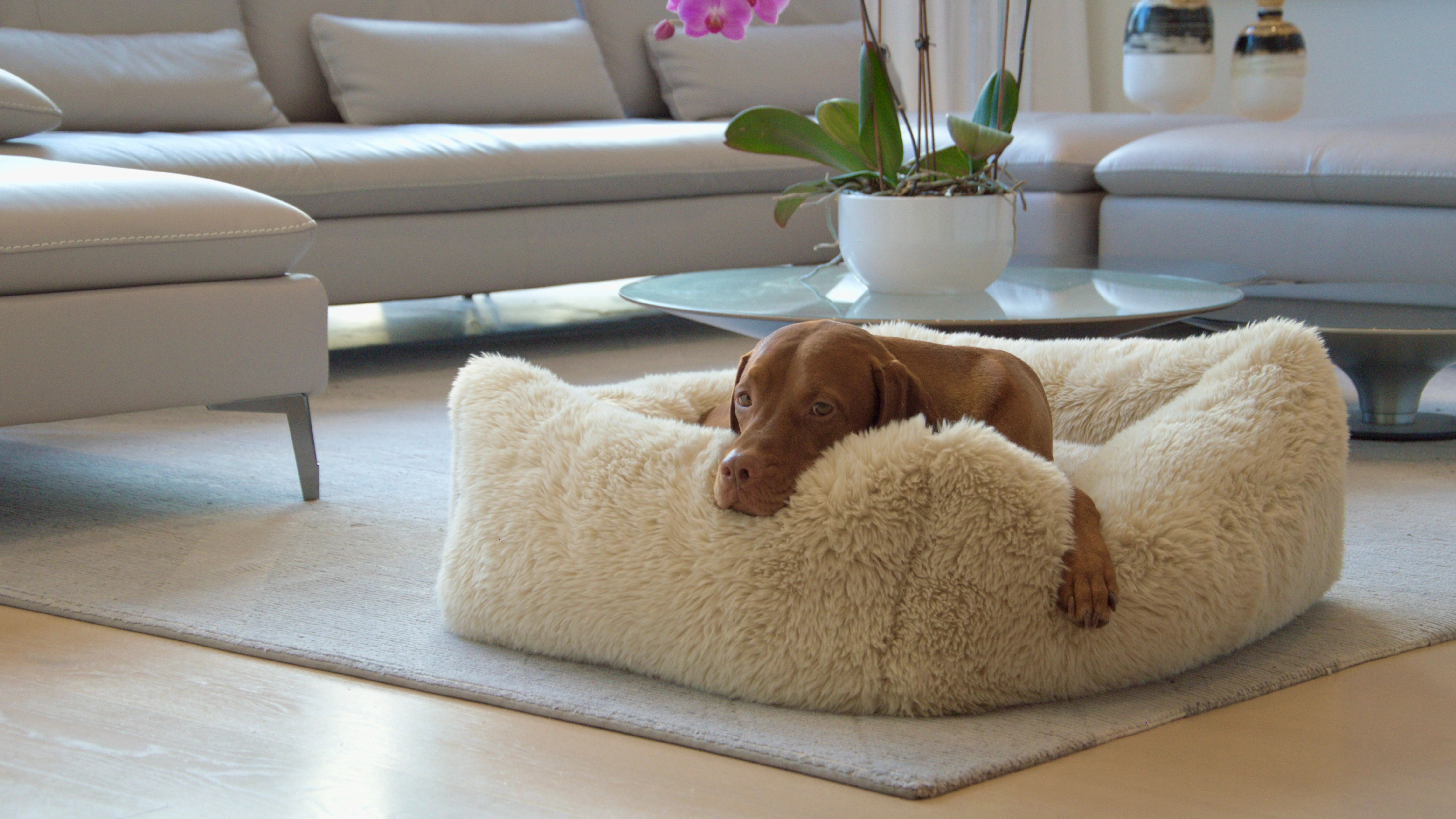 The Franklin – Faux Fur