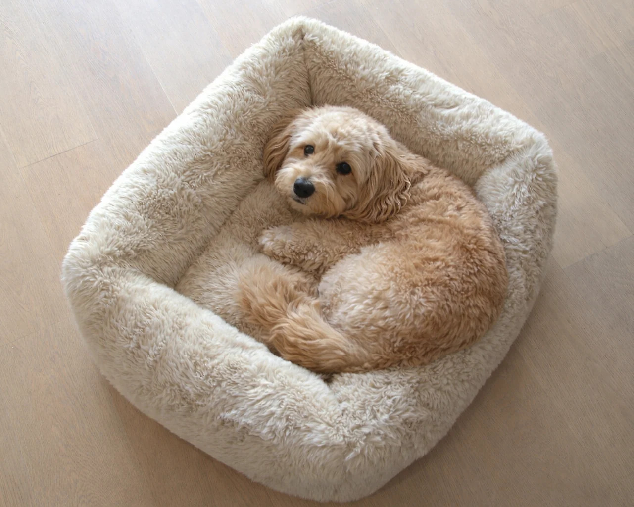 The Franklin – Faux Fur