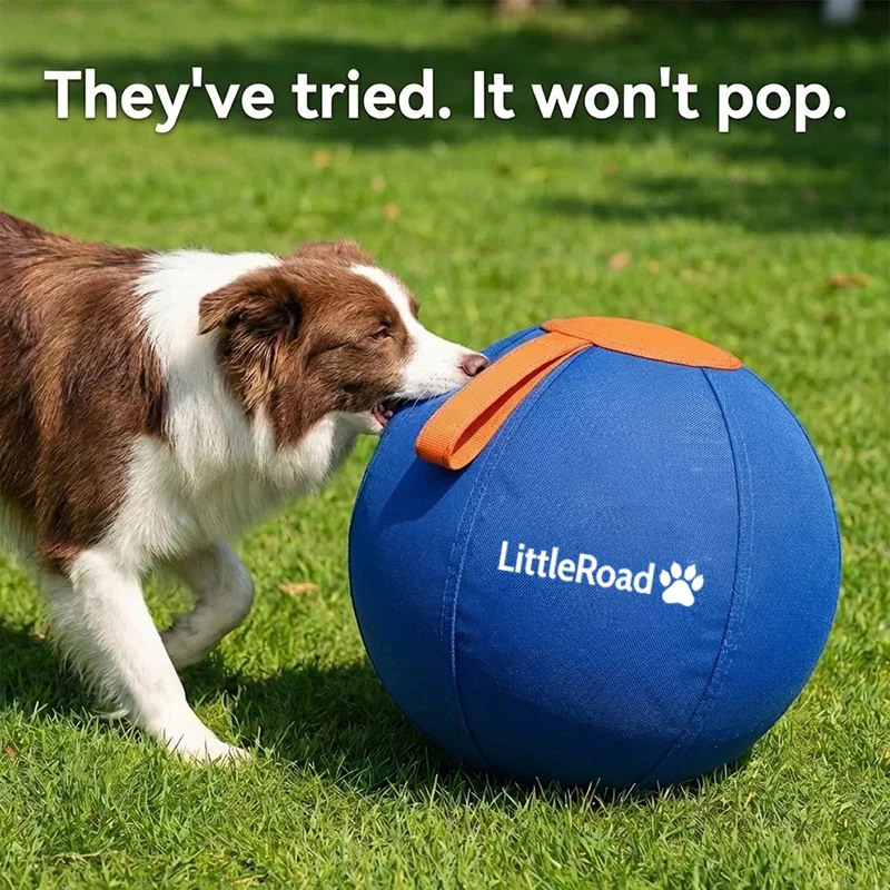 The Original Herding Ball for Dogs