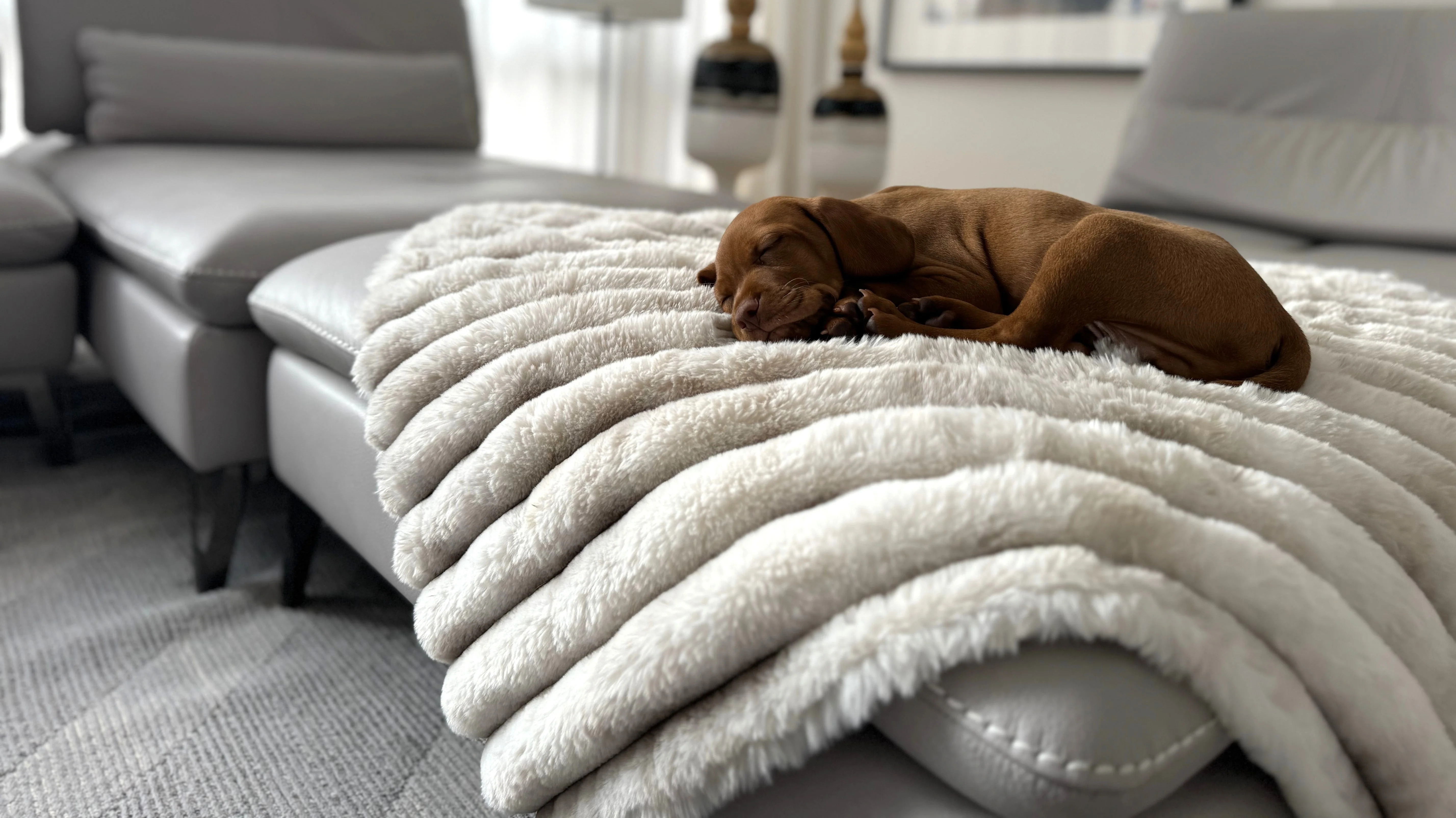 Blanket Topper