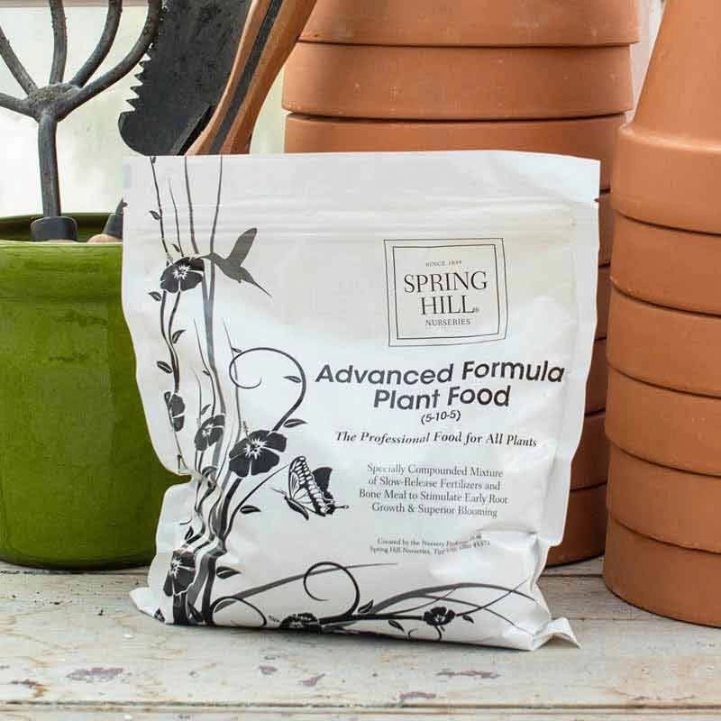 Advanced Formula Plant Food 24 oz