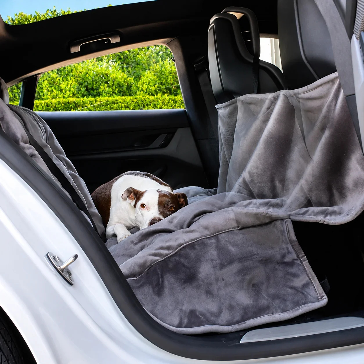 Animals Matter® Companion Travel Hammock