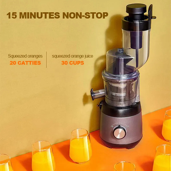 Automatic Juicer With Pulp Separator For Fruits And Vegetables