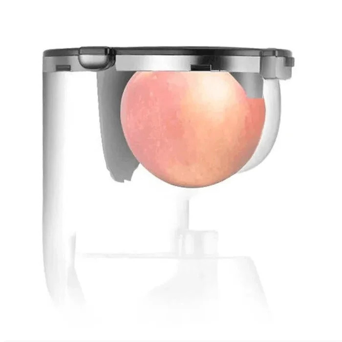 Automatic Juicer With Pulp Separator For Fruits And Vegetables
