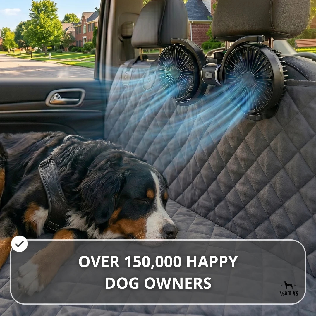 Team K9® Backseat Dog Cooling Fans (USB-A)