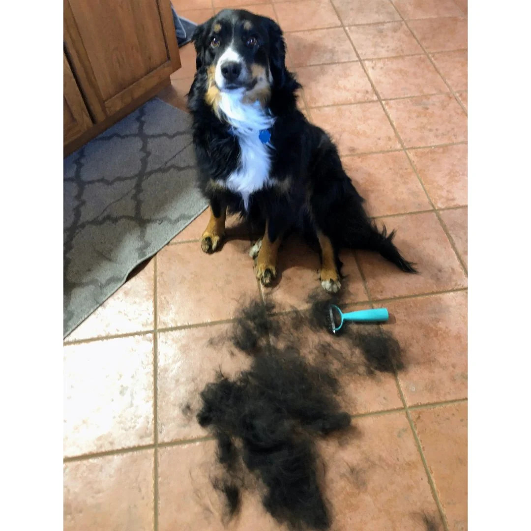 Uproot Cat and Dog Brush