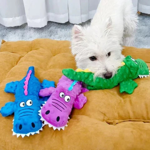 Squeaky crocodile plush for aggressive chewers π
