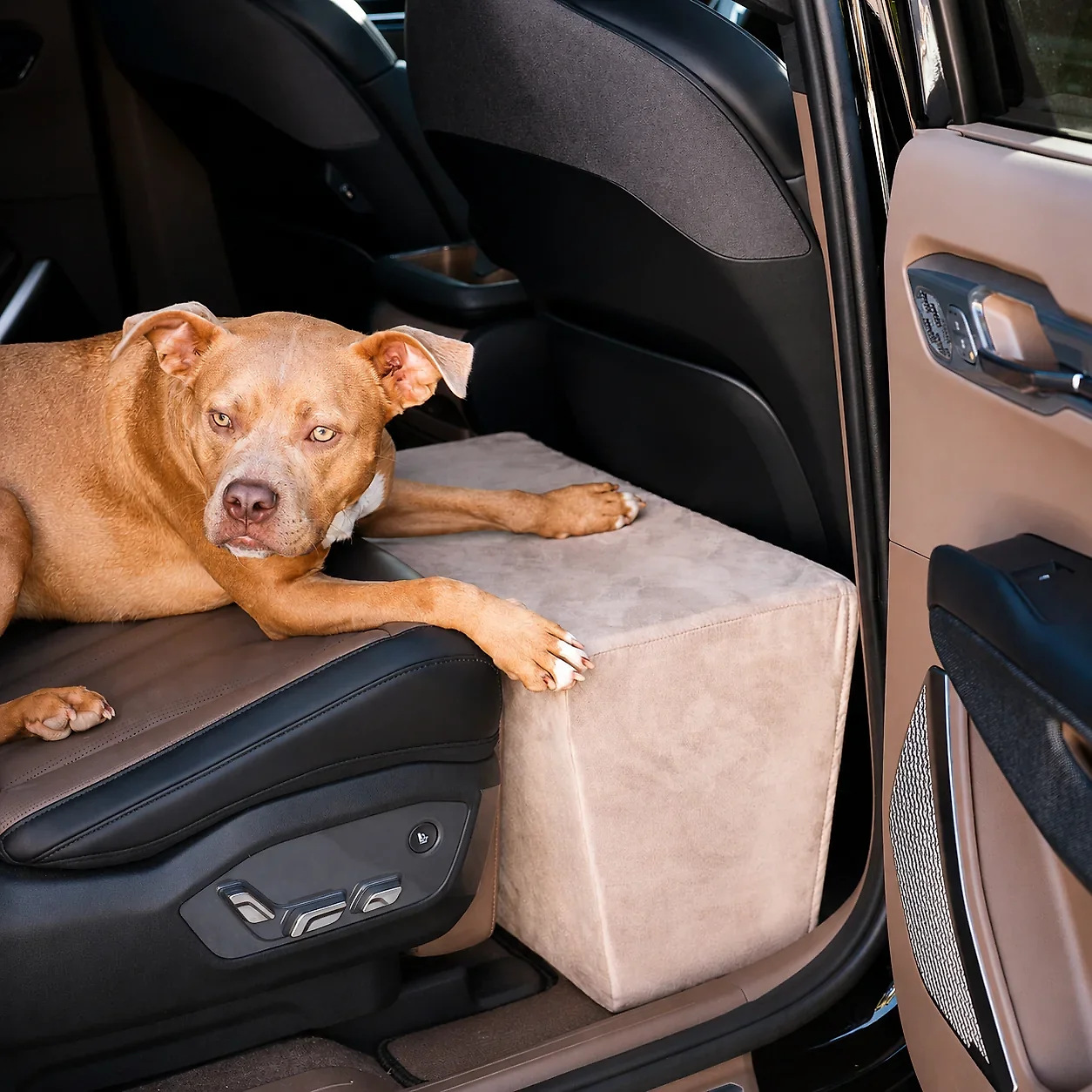 Companion Backseat Extender™ for Dogs
