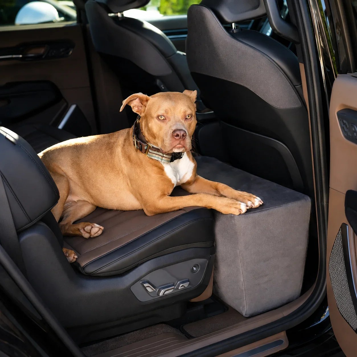Companion Backseat Extender™ for Dogs