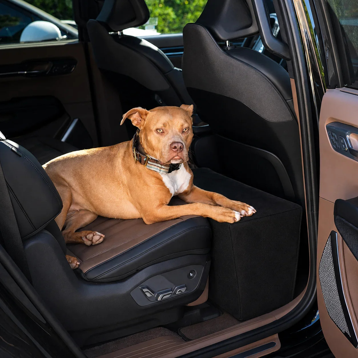 Companion Backseat Extender™ for Dogs